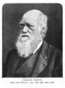 C.Darwin